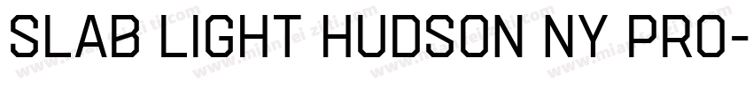 Slab Light Hudson NY Pro字体转换